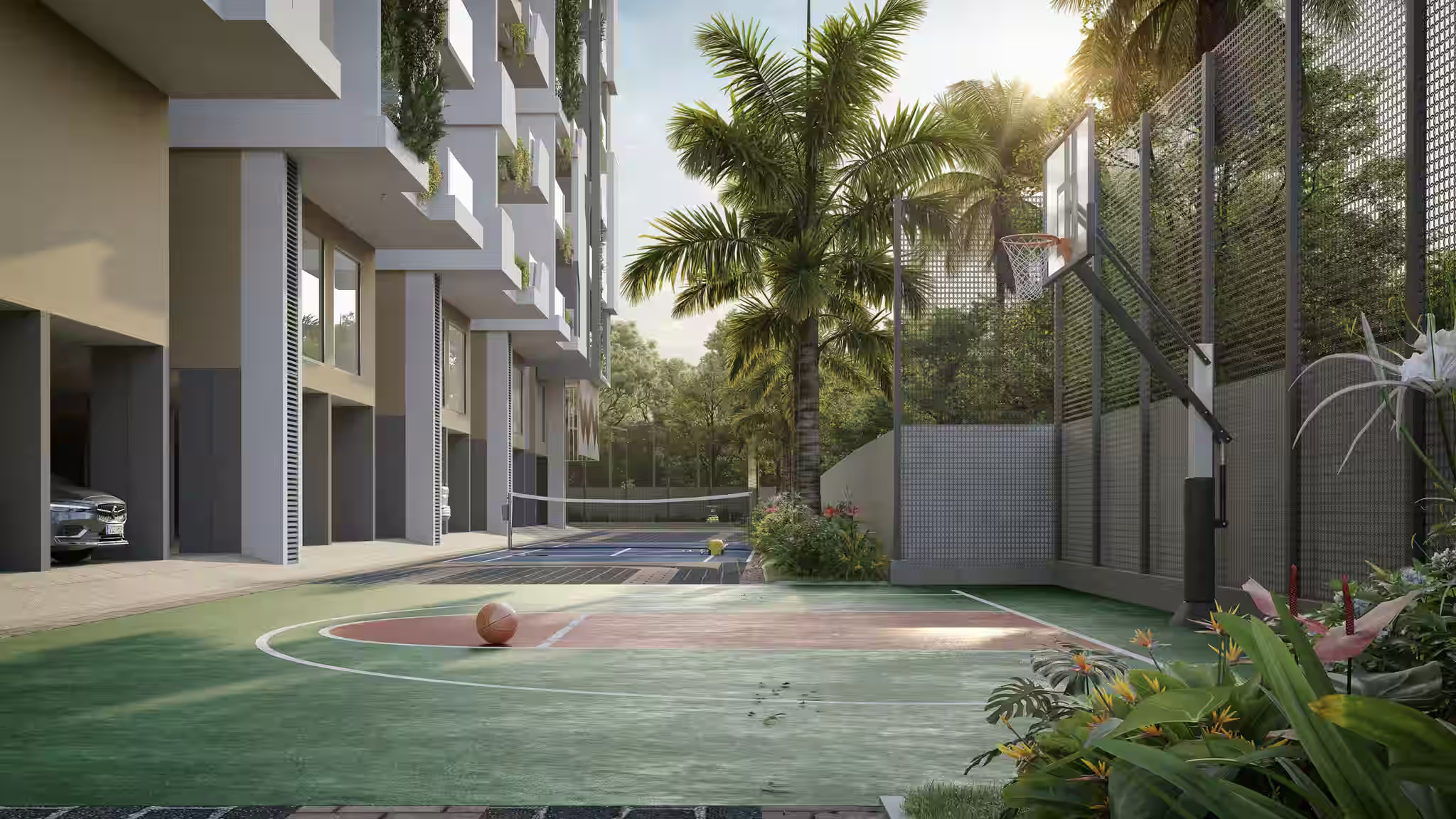 Basket Ball